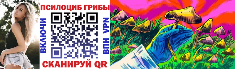 наркотики MEGA ссылки Галлюциногенные грибы прущие грибы Шумерля